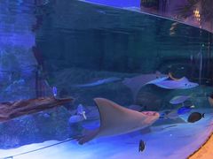 -沈阳海洋探索中心