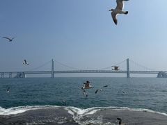 -星海广场