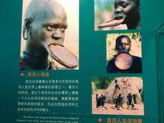 -中国湿地博物馆