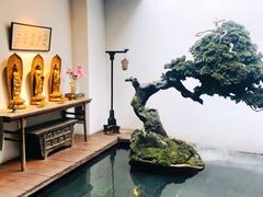 -觀芷隐轩