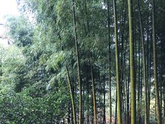 -TZ House音乐现场(来福士中心店)