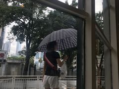 -物质生活书·酒吧