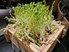 -凤园椰珍·臻品椰子鸡(保利时光里店)