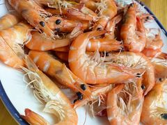 -碧桂园十里银滩