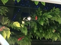 -蕃茄述·好汤自然来(江汉路店)