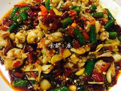 子姜蛙-呱呱兔庄