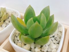 -世纪联华超市(浦电路店)