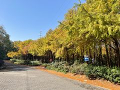 -上海海湾国家森林公园