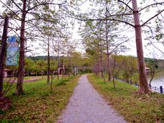 -田野绿世界