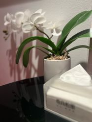 -尊尚柏丽美容SPA