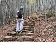 -午潮山国家森林公园