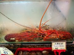 -南丫岛