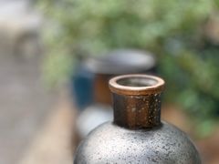 -桉树林A coffee 森林餐厅(三圣乡店)