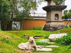 -龙华寺