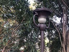 -南翔镇银翔湖公园
