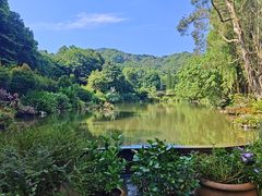 -深圳仙湖植物园