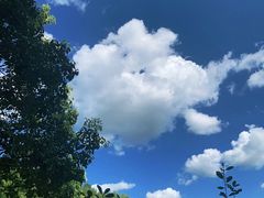 -雅鲁激流探险漂流