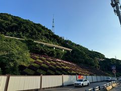 -李子坝梁山鸡(李子坝大鸡哥店)