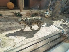 -青藏高原野生动物园
