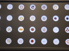 -药王庙(安国市)