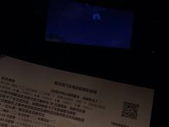 -枫花园汽车电影院(朝阳公园店)