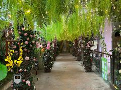 -正佳雨林生态植物园