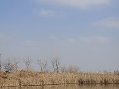 -盐城丹顶鹤湿地生态旅游区