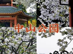 -中山公园