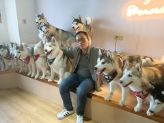 -Husky Go! 哈士奇体验馆·宠物咖啡厅狗咖