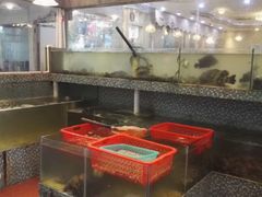 -巽寮印象美食部落餐厅·海鲜·地方特色菜(惠州体验店)