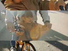 -三里屯东五街银杏大道