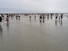 -奉贤海滩