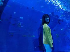 -波塞冬旅游度假区