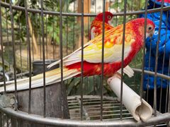 -南宫五洲植物乐园