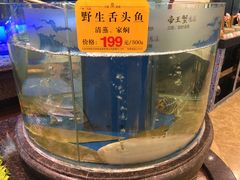 -天顺渔港·海景餐厅(星海广场店)