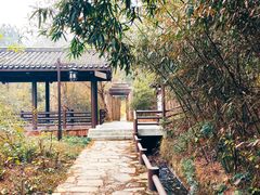 -黄陂区野村谷景区
