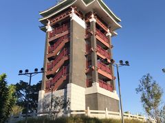 -王借岗森林公园