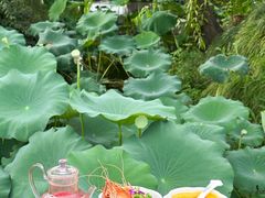-大潮淮·淮扬菜(何园旗舰店)