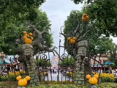 -上海迪士尼度假区