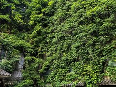 -竹吟山房