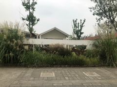 -前小桔亲子创意农场·草莓采摘·露营烧烤