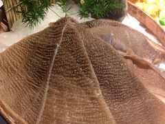 -九鼎轩脆毛肚火锅(南京东路店)