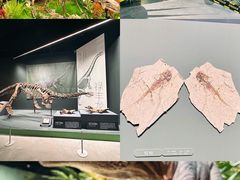 -遇见博物馆(遇见海洋沉浸式奇幻光影展)
