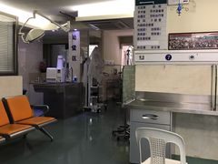 -动物缘宠物医院·骨科·猫科(西二环店)