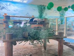 -西霞口神雕山野生动物世界