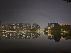 -洋湖国家湿地公园