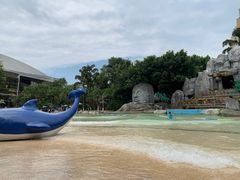 -海合安成都极地海洋公园