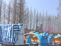 -黄海国家森林公园