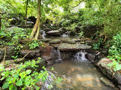 -水濂山森林公园