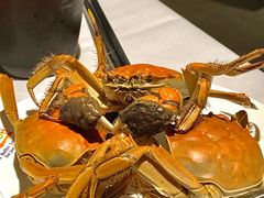 -领鲜活海鲜榴莲自助火锅(东门店)